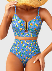 Sunnylia - 2026 Summer Two Piece Bikini Set U-Wire Cutout High Waisted Swimsuit-Black